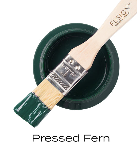 Pressed Fern Fusion Mineral Paint